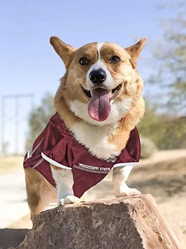 Pets First NCAA College Mississippi State Bulldogs Mesh Jersey for DOGS & CATS Large | Licensed Dog Jersey with your Favorite Football Team thumbnail 4