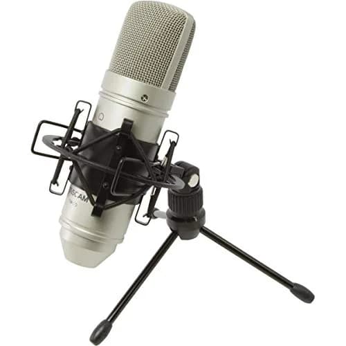Tascam TM-80 Large Diaphagm Condenser Microphone, Silver | Home Recording & Studio Quality thumbnail 1