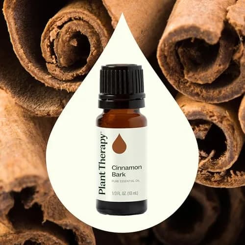 Plant Therapy Cinnamon Bark Essential Oil 10 mL | Pure, Undiluted Cinnamon Oil for Diffuser & Blends thumbnail 3