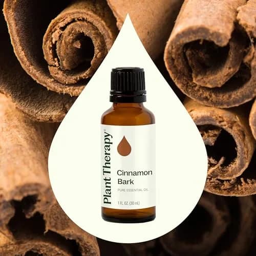 Plant Therapy Cinnamon Bark Essential Oil 30 mL (1 oz) | Stimulating Aroma for Indian Homes thumbnail 3