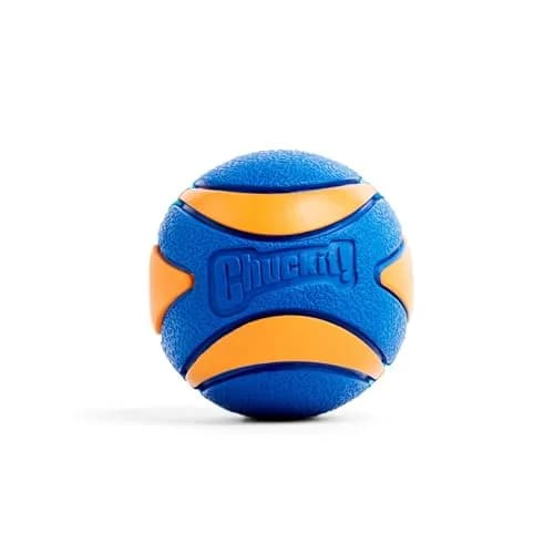 Chuckit! Ultra Squeaker Ball Dog Fetch Toy, Large 7.6cm (3in) | Floats & Squeaks for Big Breeds thumbnail 3