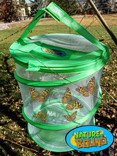 Nature Bound Butterfly Growing Kit 13 inch Tall Pop-Up Enclosure | STEM Learning Guide & Caterpillar Voucher thumbnail 4