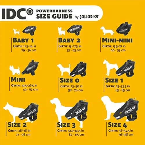 Julius-K9 IDC Powerharness Baby 1 (2-6.5 lbs / 0.8-3 kg) | European-Made Dog Harness with Reflective Safety thumbnail 3