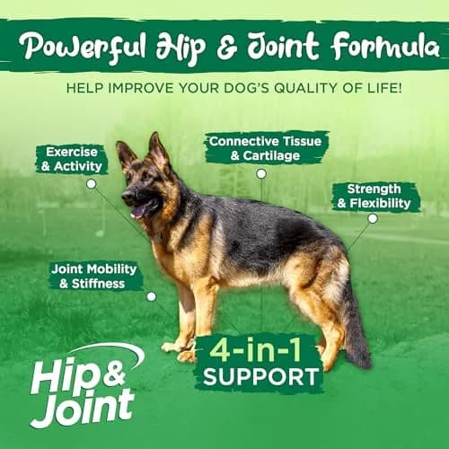 Vital Planet Hip & Joint Supplement for Dogs | Herbal Blend with Glucosamine & MSM (60 Chewable Tabs) thumbnail 4