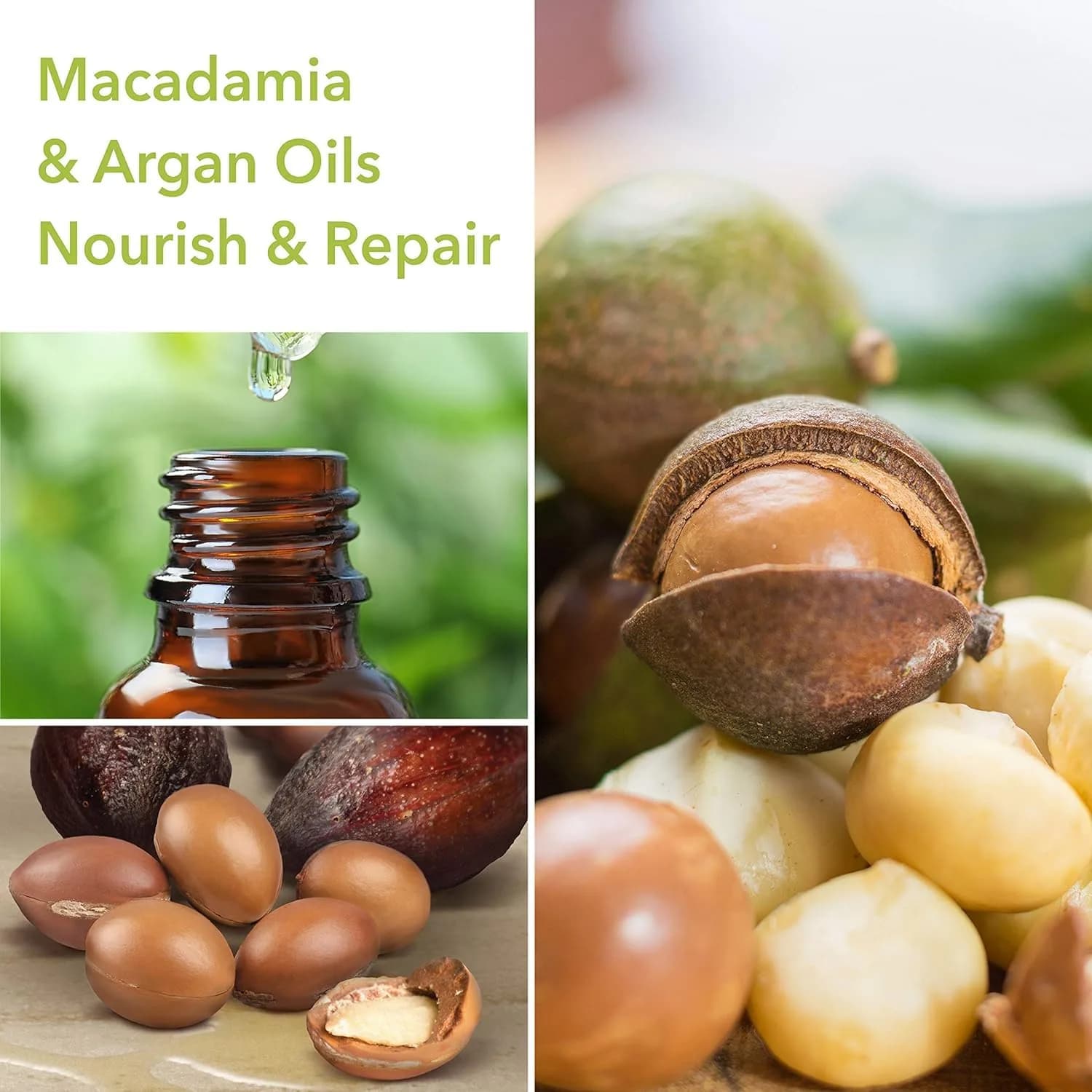 Macadamia Professional Ultra Rich Hair Repair Shampoo 295ml (10 Fl Oz) | Deep Repair Cleanser for Dry & Damaged Hair - view 2