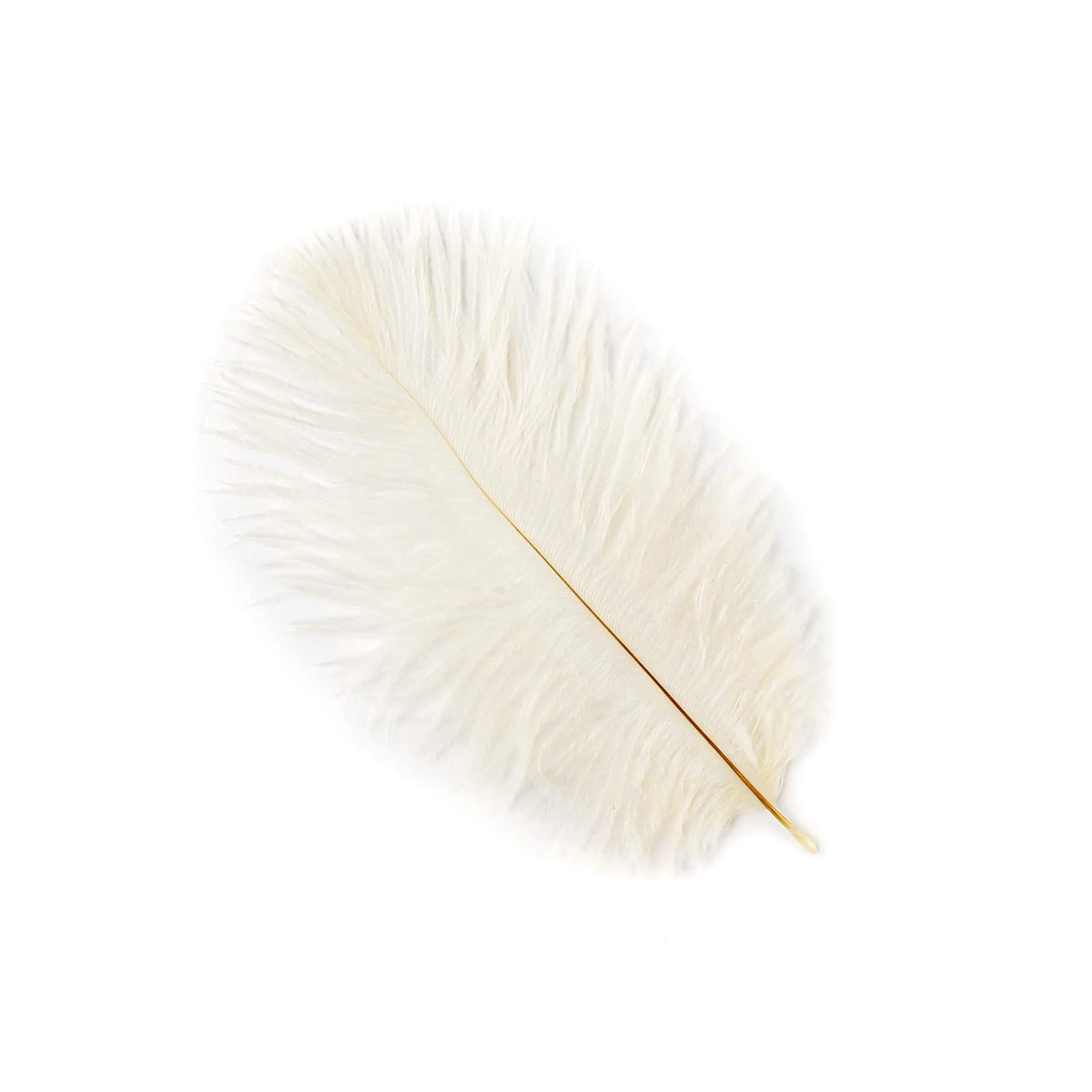 Zucker Ostrich Feather Craft Supplies 4-8 inch | Natural Colorful DIY Wedding Decor