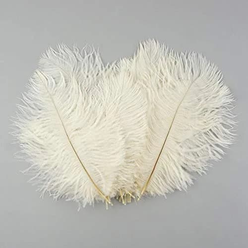 Zucker Ostrich Feather Craft Supplies 4-8 inch | Natural Colorful DIY Wedding Decor thumbnail 4