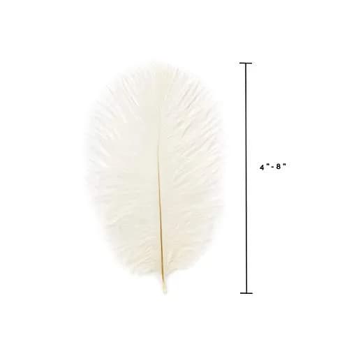 Zucker Ostrich Feather Craft Supplies 4-8 inch | Natural Colorful DIY Wedding Decor thumbnail 5