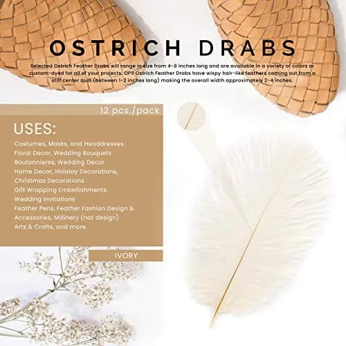 Zucker Ostrich Feather Craft Supplies 4-8 inch | Natural Colorful DIY Wedding Decor thumbnail 7