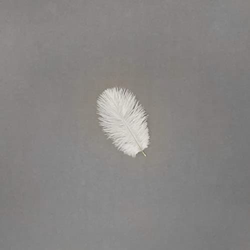 Zucker Ostrich Feather Craft Supplies 4-8 inch | Natural Colorful DIY Wedding Decor thumbnail 2