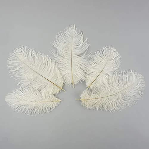 Zucker Ostrich Feather Craft Supplies 4-8 inch | Natural Colorful DIY Wedding Decor thumbnail 3