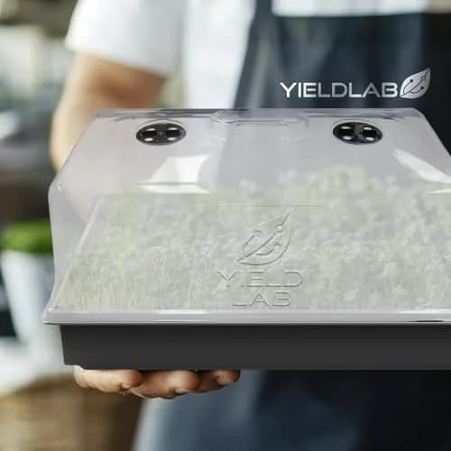 Yield Lab 7 Inch Clone Dome | Humidity Vented Propagation Dome for Plants thumbnail 8