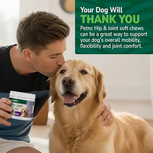 PetNC Natural Care Hip and Joint Soft Chews for Dogs, 90 Count (2.27 oz / 63 g) | Veterinarian Formulated Mobility Support thumbnail 4