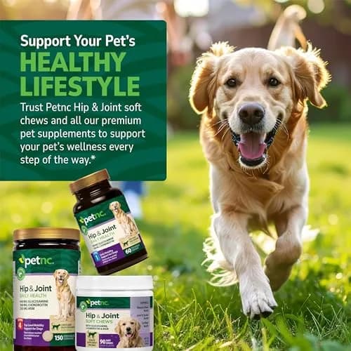 PetNC Natural Care Hip and Joint Soft Chews for Dogs, 90 Count (2.27 oz / 63 g) | Veterinarian Formulated Mobility Support thumbnail 6