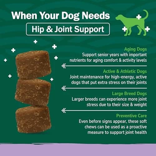 PetNC Natural Care Hip and Joint Soft Chews for Dogs, 90 Count (2.27 oz / 63 g) | Veterinarian Formulated Mobility Support thumbnail 3