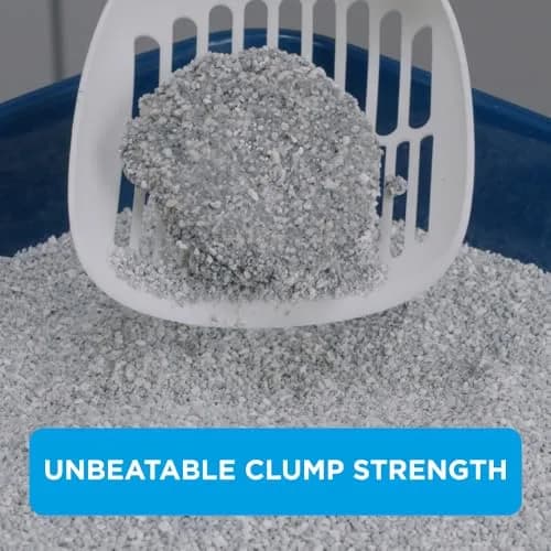 Ever Clean Clumping Cat Litter, Extra Strong Clumping, Unscented, 10L | Long-Lasting Odour Control thumbnail 4