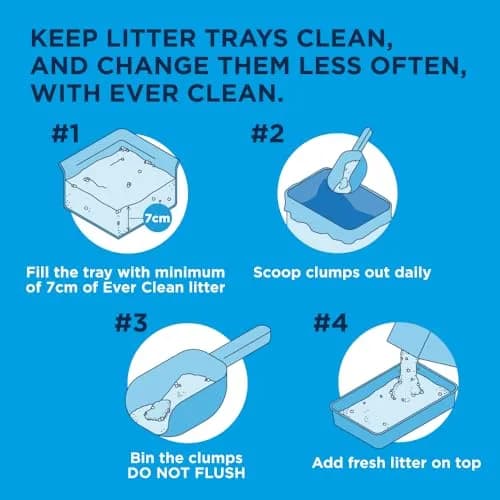 Ever Clean Clumping Cat Litter, Extra Strong Clumping, Unscented, 10L | Long-Lasting Odour Control thumbnail 6