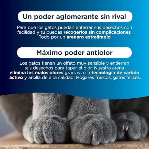 Ever Clean Clumping Cat Litter, Extra Strong Clumping, Unscented, 10L | Long-Lasting Odour Control thumbnail 3