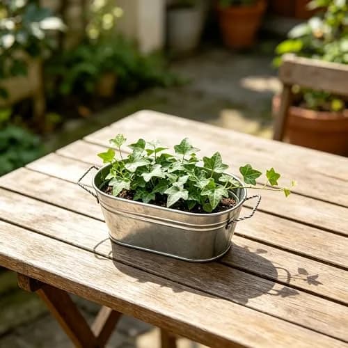Hosley Set of 6 Oval Galvanized Planter Floral Pot 7.5 Inch Long 3.5 Inch High | Decorative Indoor & Outdoor thumbnail 7