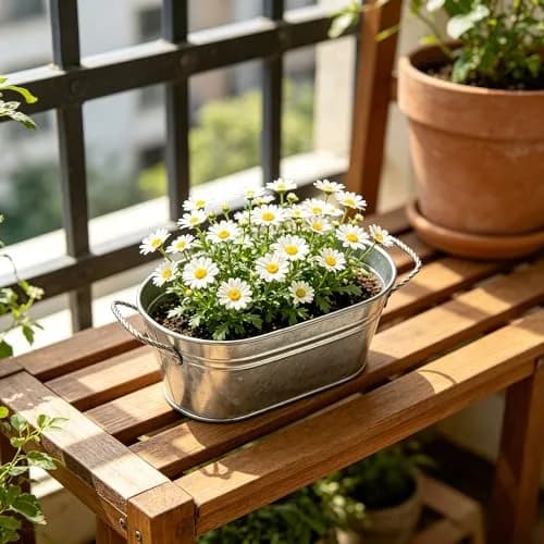 Hosley Set of 6 Oval Galvanized Planter Floral Pot 7.5 Inch Long 3.5 Inch High | Decorative Indoor & Outdoor thumbnail 3