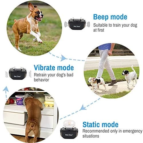 Petrainer PET998DRB1 Dog Training Collar Black | 330 yd Remote Control with Beep, Vibration, Static Modes thumbnail 3