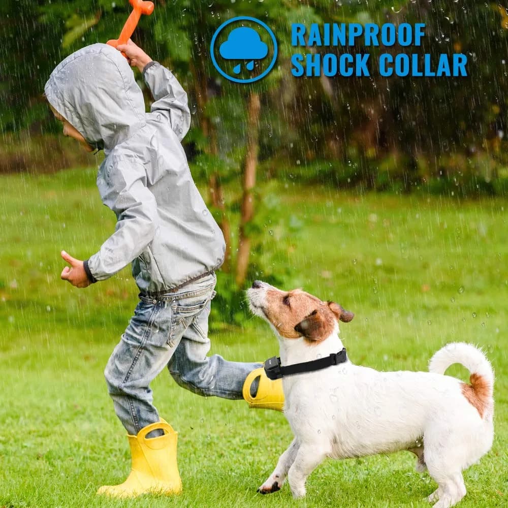 Petrainer PET998DRB2 Dog Training Collar for 2 Dogs | 1000 ft Range, Waterproof, Rechargeable - view 4