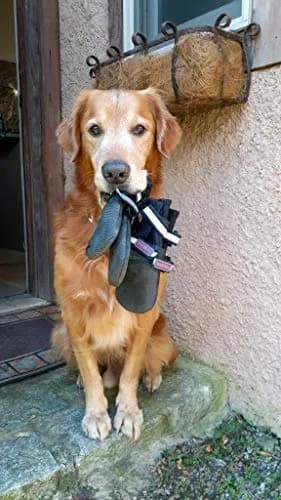 Bark Brite All Weather Neoprene Paw Protector Dog Boots Medium | Reflective Straps & Durable Rubber Sole thumbnail 6