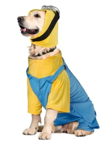 Rubies Minion Pet Costume for Dogs & Cats XXL | Officially Licensed Despicable Me Outfit thumbnail 4