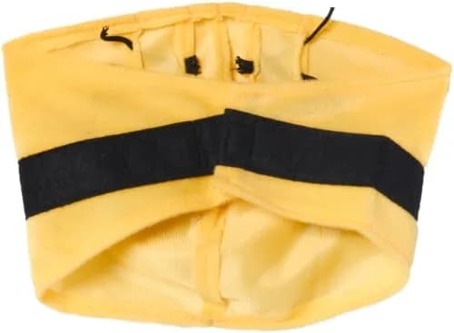Rubies Minion Pet Costume for Dogs & Cats XXL | Officially Licensed Despicable Me Outfit thumbnail 6