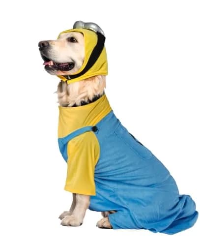 Rubies Minion Pet Costume for Dogs & Cats XXL | Officially Licensed Despicable Me Outfit thumbnail 7