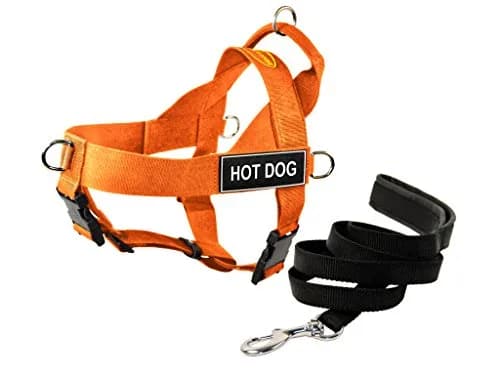 Dean & Tyler DT Universal NO Pull Dog Harness with Hot Dog Patches and Six-Foot Padded Puppy Light Leash, X Small, Orange | Adjustable, Weather-Resistant, No-Pull Design thumbnail 1