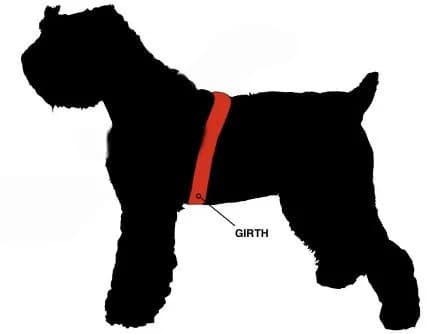 Dean & Tyler DT Universal NO Pull Dog Harness with Hot Dog Patches and Six-Foot Padded Puppy Light Leash, X Small, Orange | Adjustable, Weather-Resistant, No-Pull Design thumbnail 2