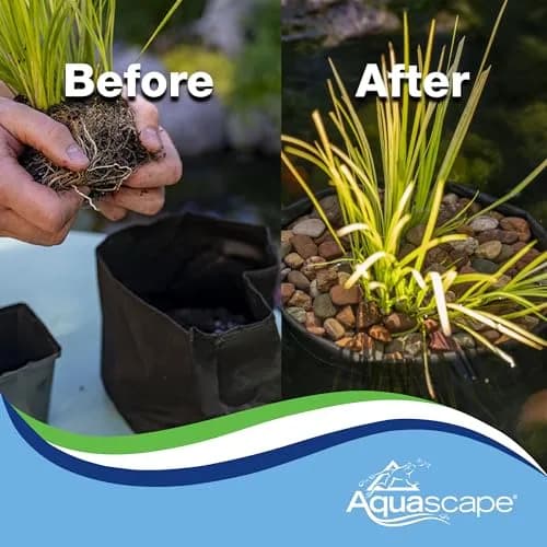 Aquascape Fabric Plant Pot 12" Round x 8" Deep | Water Garden & Pond Enhancement thumbnail 6