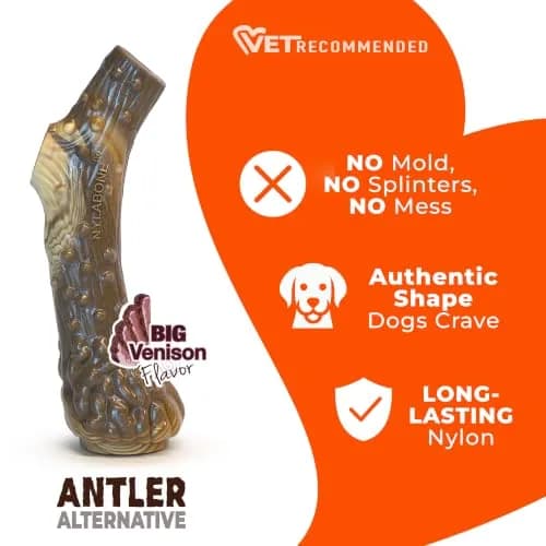 Nylabone Power Chew Antler Alternative Nylon Chew Toy for Dogs, Large, Venison Flavor | Durable & Safe Chew for Aggressive Dogs thumbnail 4