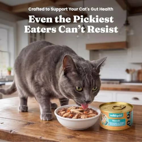 Solid Gold Wet Cat & Kitten Food, Mackerel & Tuna Shreds in Gravy, 24ct | Grain-Free, Holistic Nutrition for Cats & Kittens thumbnail 7