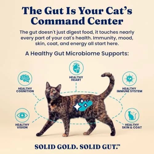 Solid Gold Wet Cat & Kitten Food, Mackerel & Tuna Shreds in Gravy, 24ct | Grain-Free, Holistic Nutrition for Cats & Kittens thumbnail 8
