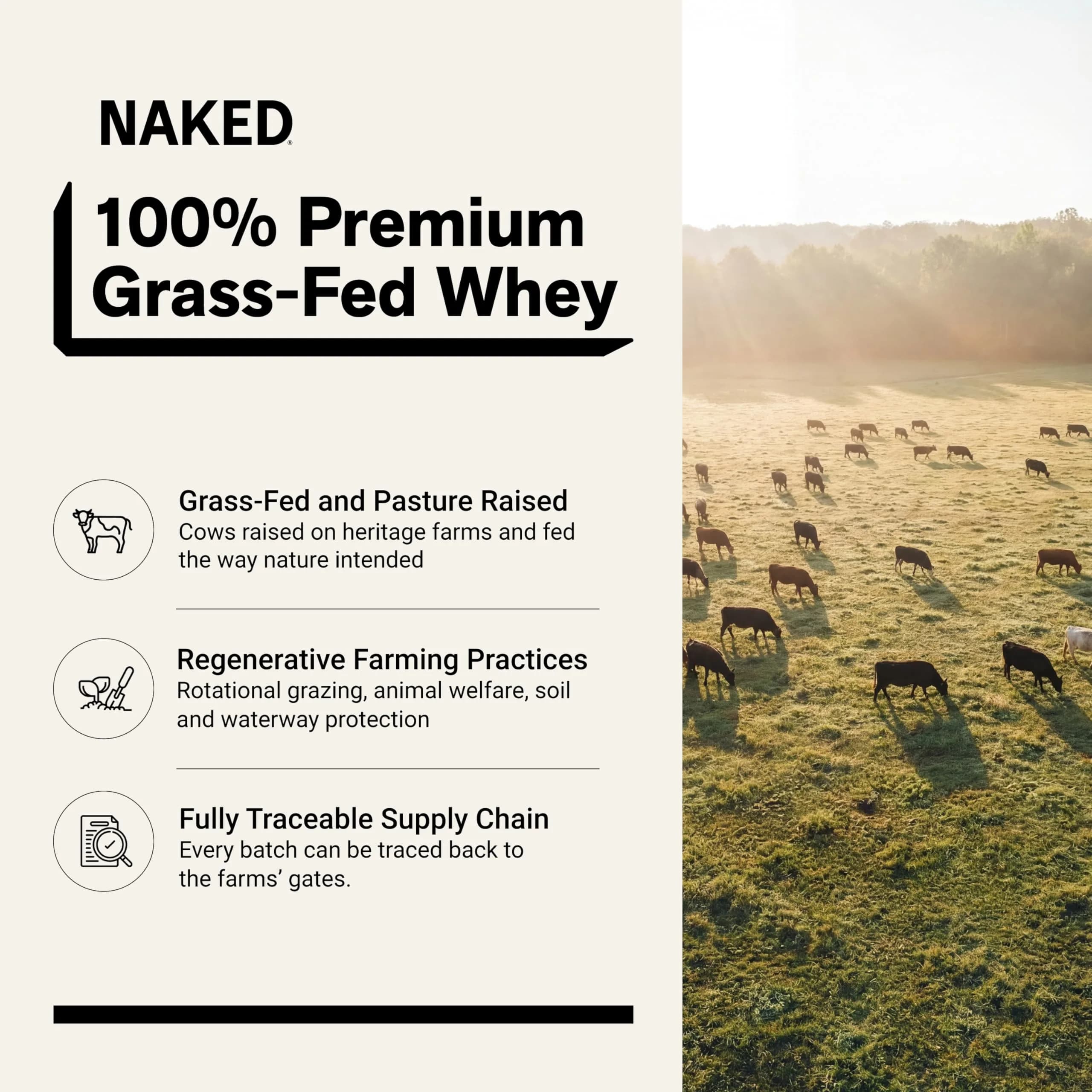 NAKED Whey Protein Powder 2 lb (907 g) | NSF Certified Grass-Fed Unflavored Protein - view 2