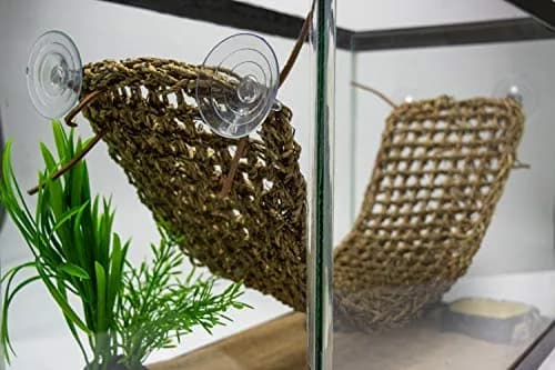 Penn-Plax Reptology Lizard Lounger Extra Large | Natural Seagrass Reptile Perch for Bearded Dragons, Geckos & More thumbnail 9