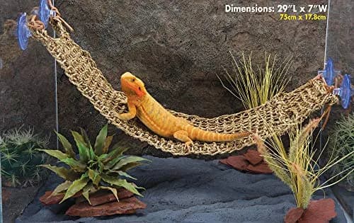 Penn-Plax Reptology Lizard Lounger Extra Large | Natural Seagrass Reptile Perch for Bearded Dragons, Geckos & More thumbnail 2