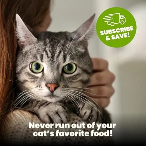 almo nature HQS Natural Wet Cat Food Tuna in Broth Atlantic Style 2.47 oz | Grain-Free, Natural Ingredients, Easy Digest thumbnail 6