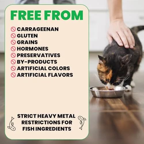 almo nature HQS Natural Wet Cat Food Tuna in Broth Atlantic Style 2.47 oz | Grain-Free, Natural Ingredients, Easy Digest thumbnail 2