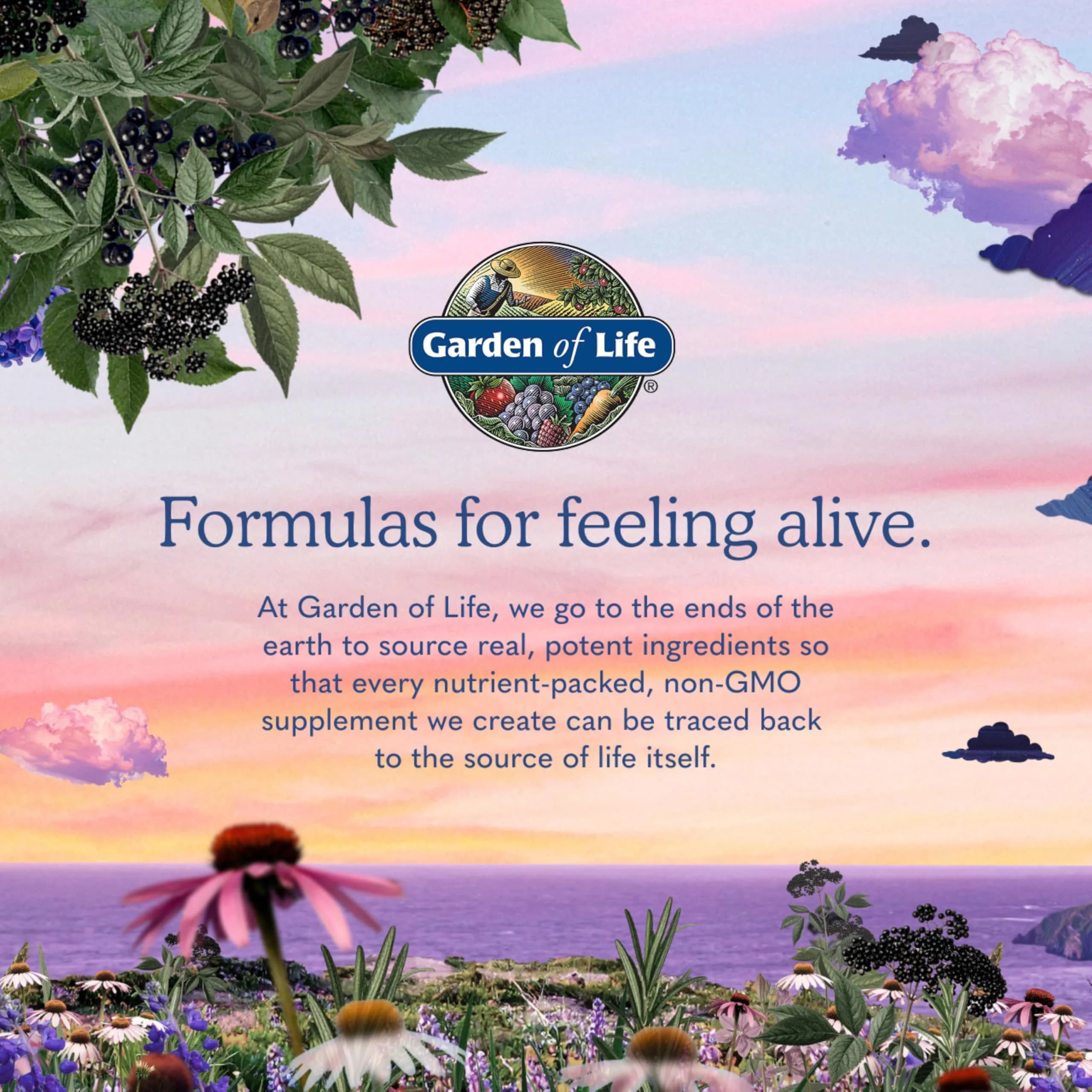 Garden of Life Dr. Formulated Probiotics for Women 50 Billion CFU 30 Capsules | Supports Digestive, Vaginal & Immune Health - view 8