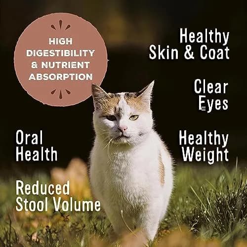 Primal Freeze Dried Raw Cat Food Nuggets, Pork, 5.5 oz | Complete & Balanced Nutrition for Cats thumbnail 3