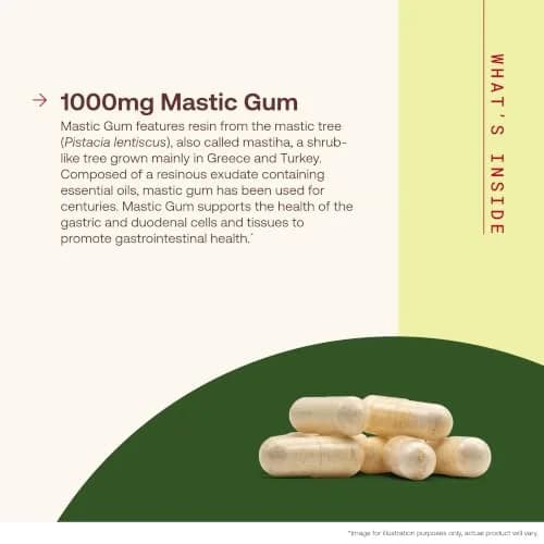 Jarrow Formulas Mastic Gum 1000mg 120 Capsules | Supports Stomach & Duodenal Health thumbnail 3