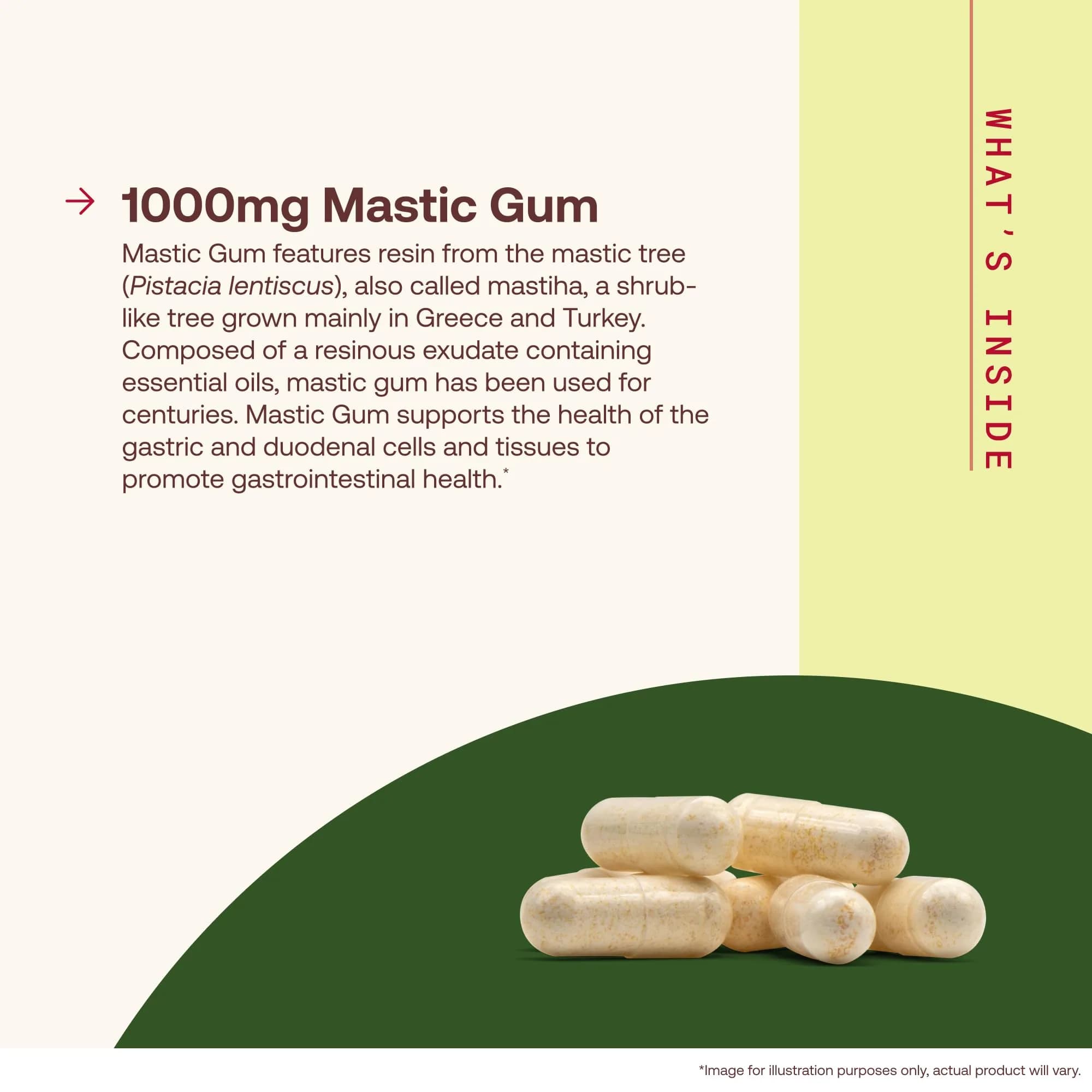 Jarrow Formulas Mastic Gum 1000mg 120 Capsules | Supports Stomach & Duodenal Health - view 3
