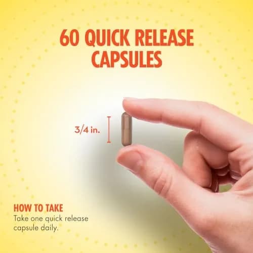 Sundance Ginkgo Biloba Capsules | 120mg | Herbal Supplement for Wellness thumbnail 4