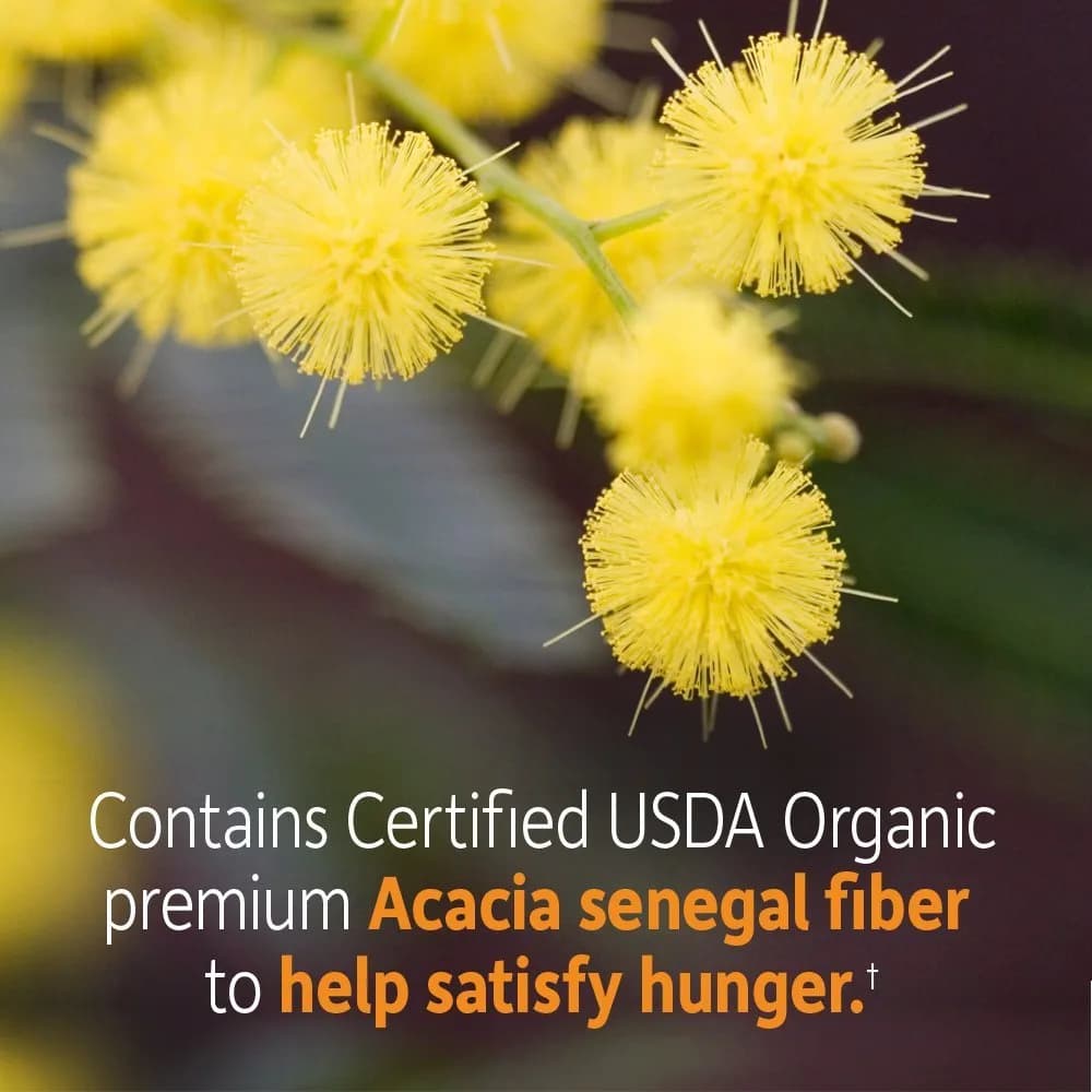 Garden of Life Dr. Formulated Organic Fiber Powder Citrus 7.9oz (224g) | USDA Organic Prebiotic Superfood Fiber Supplement thumbnail 3