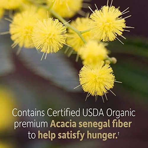 Garden of Life Dr. Formulated Organic Fiber Powder Unflavored 193g (6.8 oz) | USDA Organic Prebiotic Fiber Supplement thumbnail 4