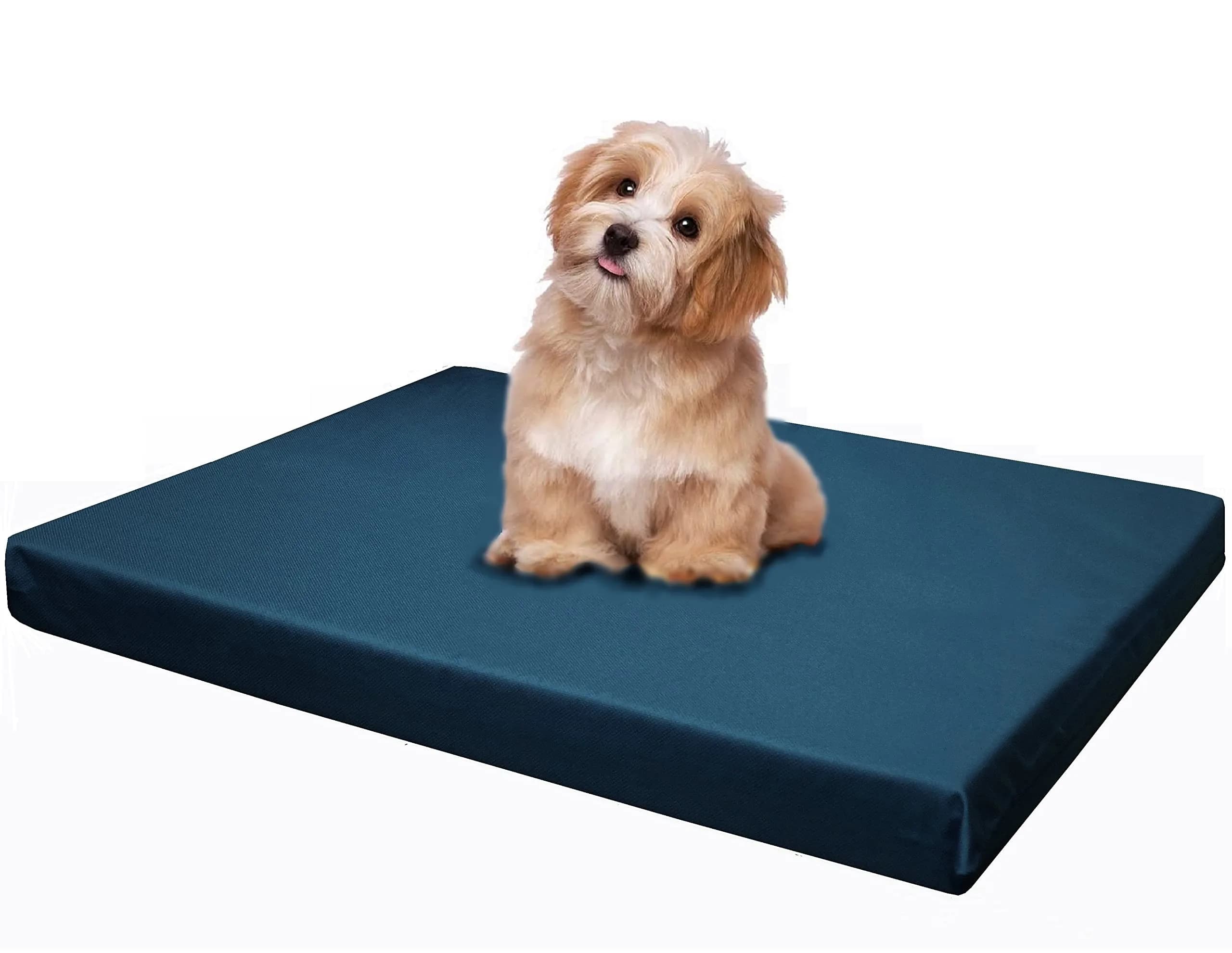 Dogbed4less Memory Foam Platform Dog Bed 45x27x3 | Orthopedic Support with Waterproof Cover — Pacific Blue / 45x27x3 Inches