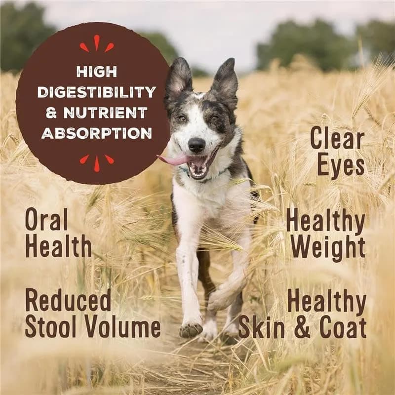 Primal Freeze Dried Raw Dog Food Nuggets, Pork, 14 oz | Complete & Balanced Nutrition for Dogs thumbnail 3